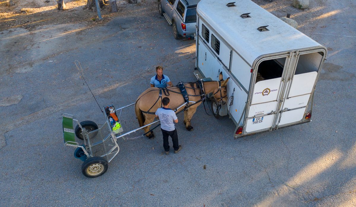 Auteur: Julien ANGELLA ARIAVISTA