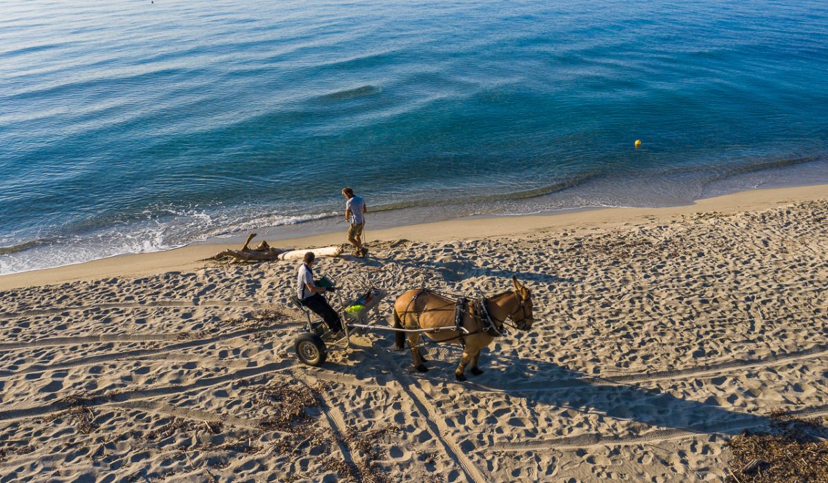 Auteur: Julien ANGELLA ARIAVISTA