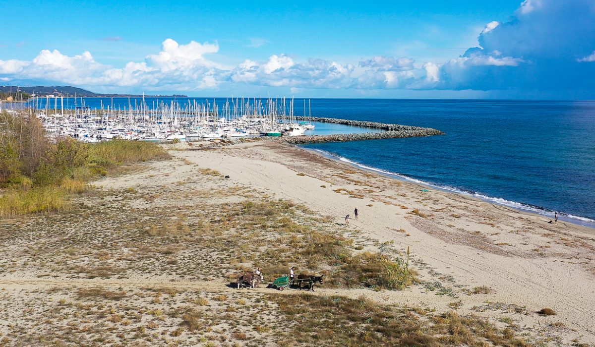 Auteur: Julien ANGELLA ARIAVISTA