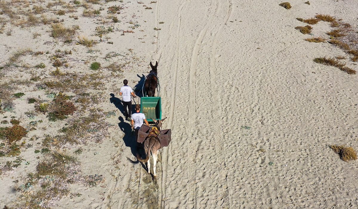 Auteur: Julien ANGELLA ARIAVISTA