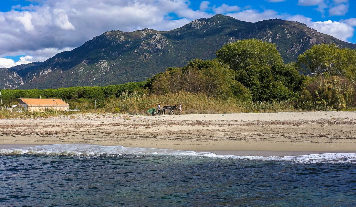 Auteur: Julien ANGELLA ARIAVISTA