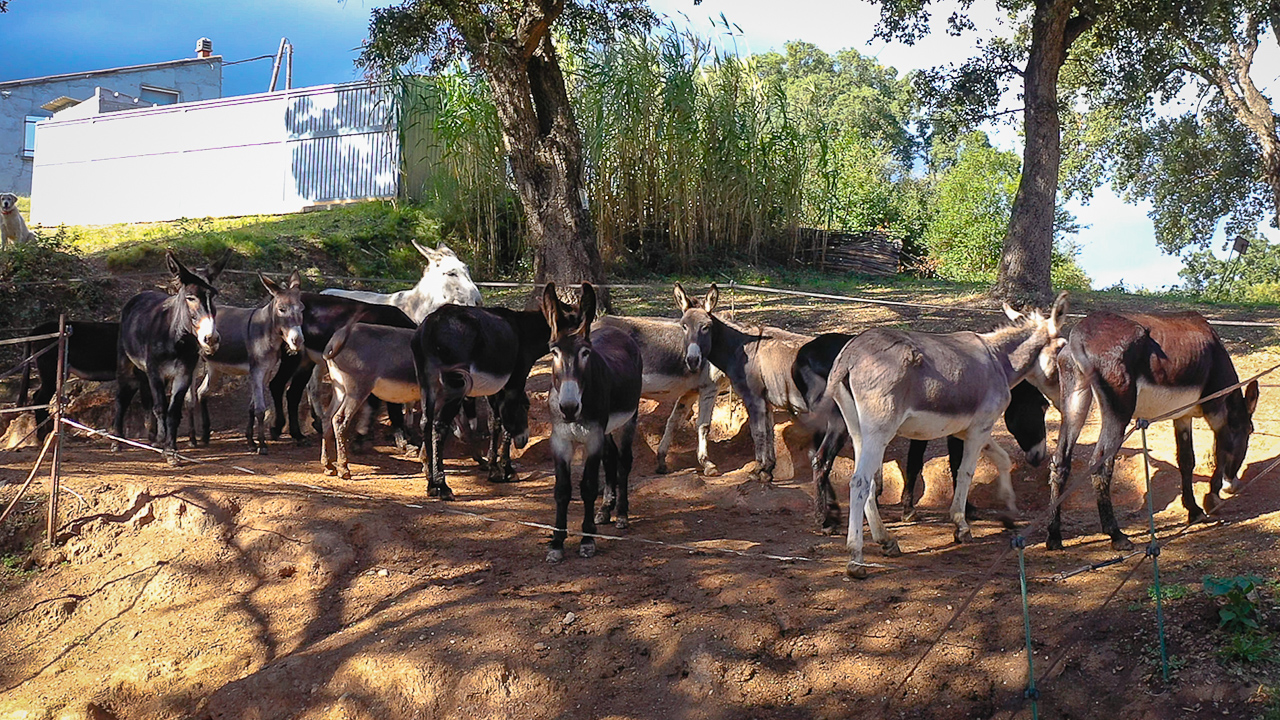 Auteur: Julien ANGELLA ARIAVISTA