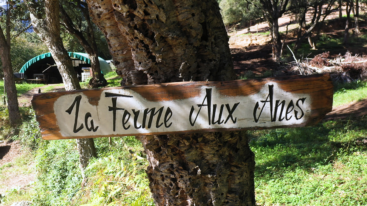 Auteur: Julien ANGELLA ARIAVISTA