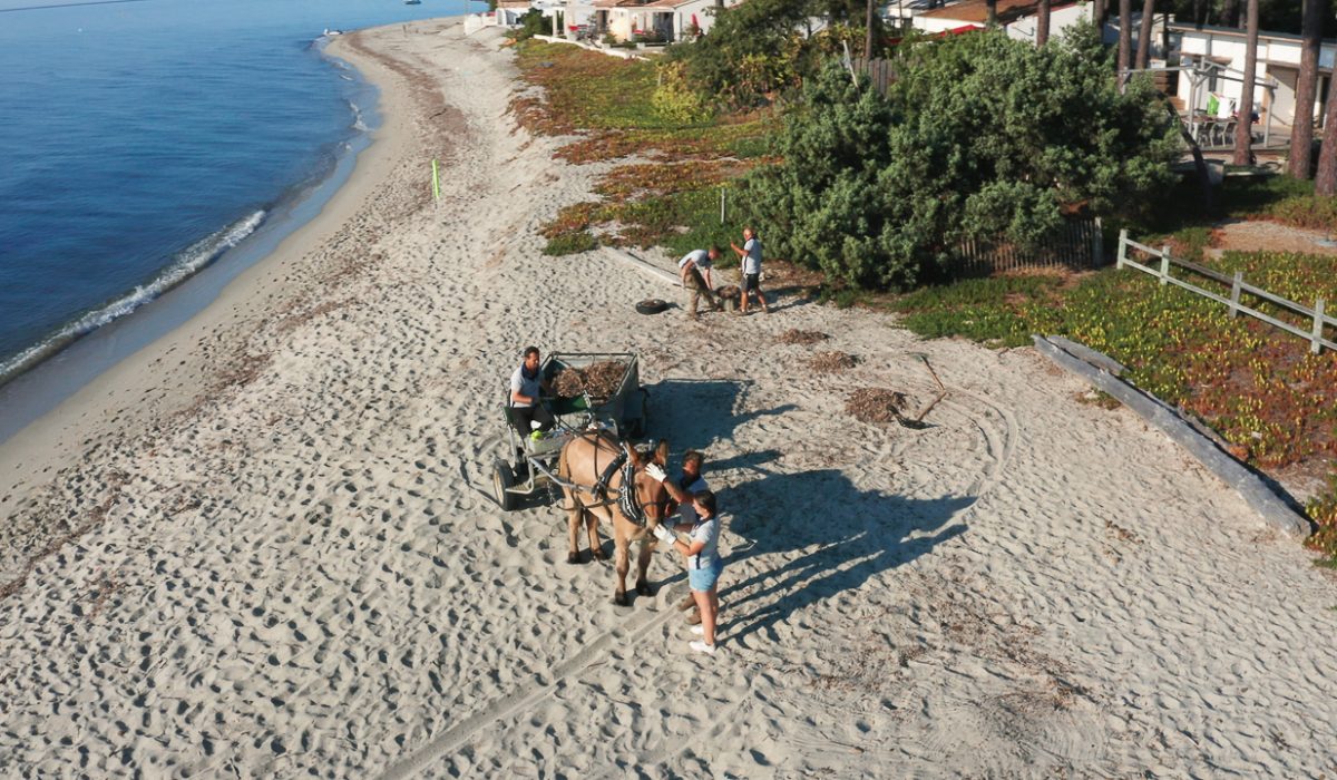 Auteur: Julien ANGELLA ARIAVISTA