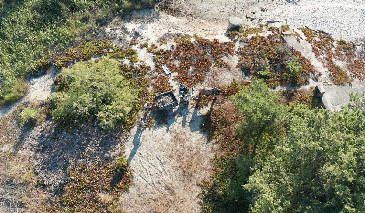 Auteur: Julien ANGELLA ARIAVISTA