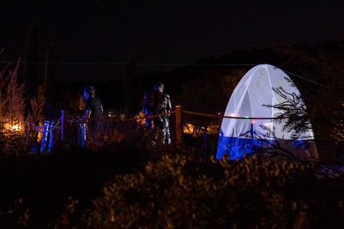 Auteur: Julien ANGELLA ARIAVISTA